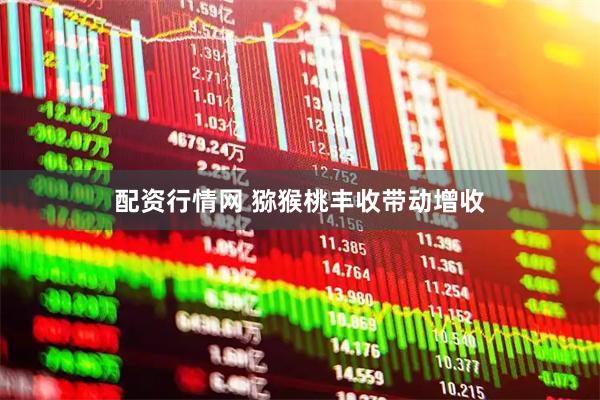 配资行情网 猕猴桃丰收带动增收